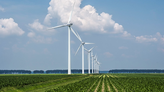 Quality Governance, Maturity Improvements - Dutch Energy Company